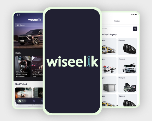 Wiseelik App